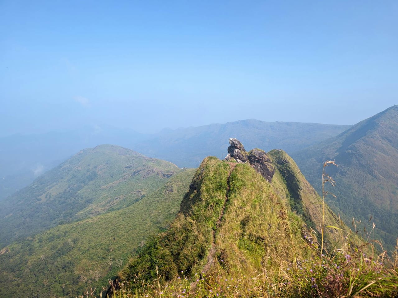 Coffee Estates & Mullayanagiri