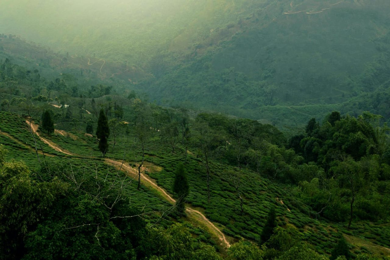 Kolkata → Bagdogra → Darjeeling