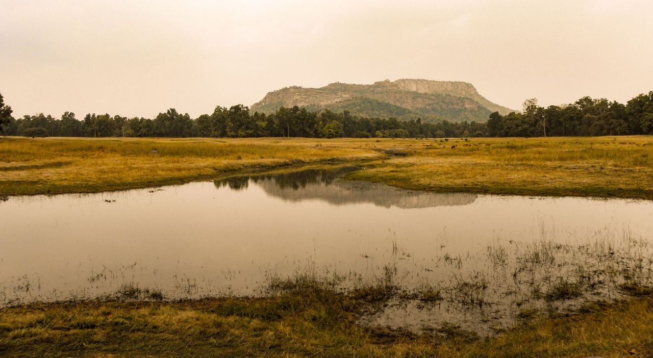 Delhi → Bandhavgarh