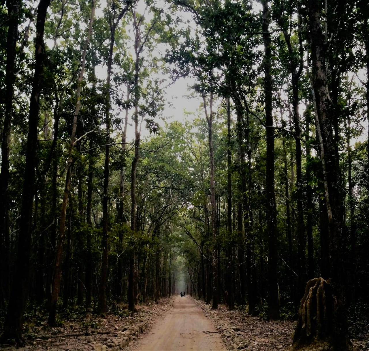 Kanha → Pench