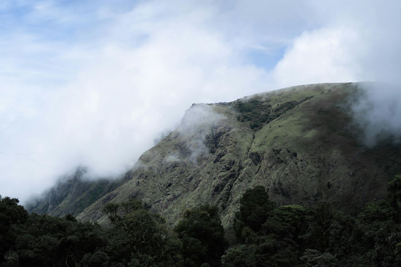 Southern Splendour overview