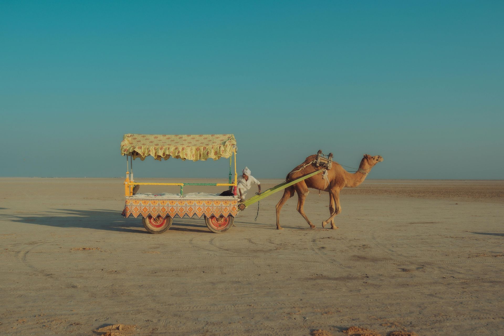 Vibrant Gujarat With Central India