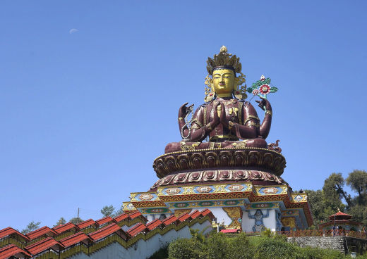 Exploring Pelling