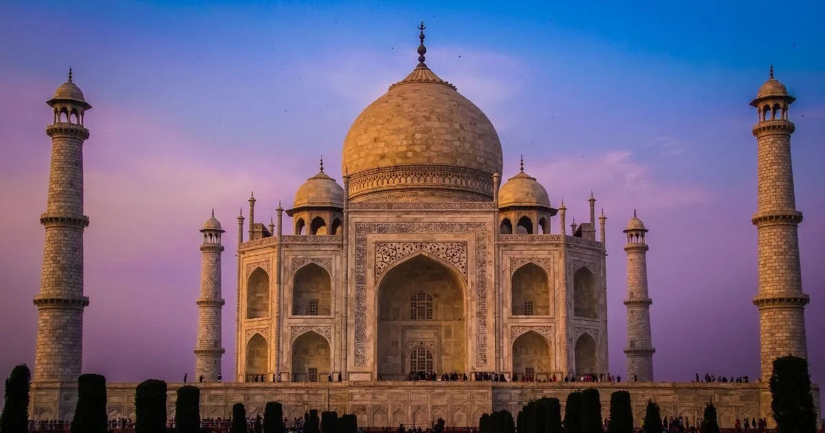 Taj & Tigers