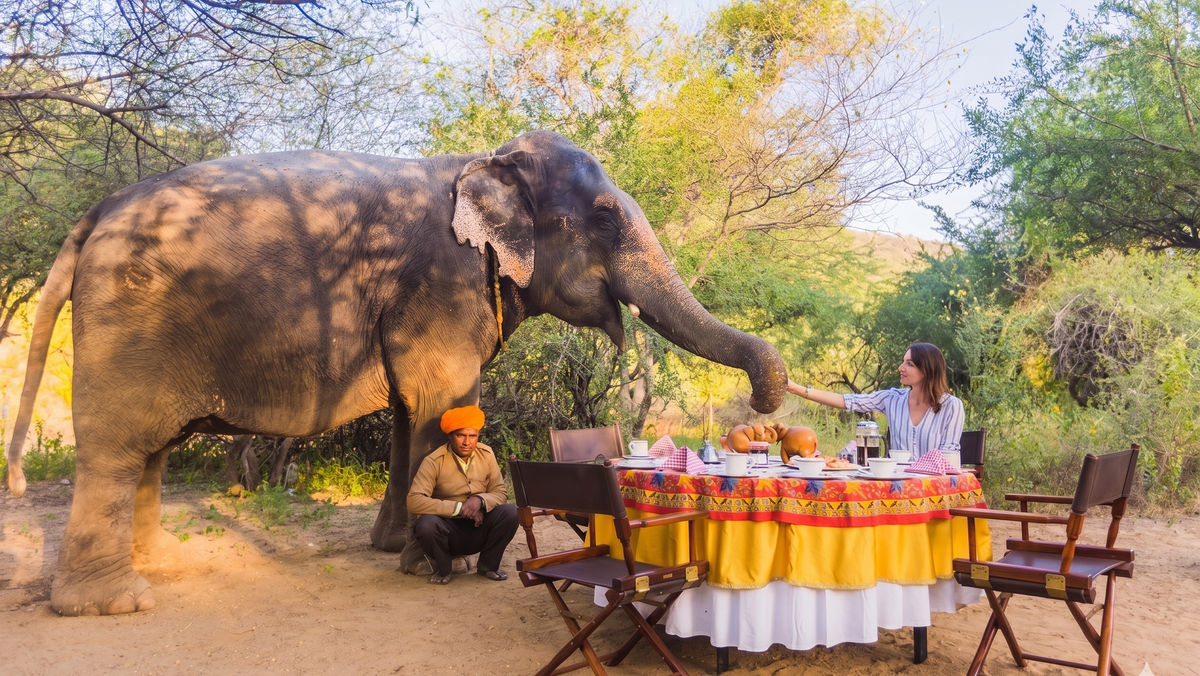 Unveiling the Enchanting South — Tamil Nadu