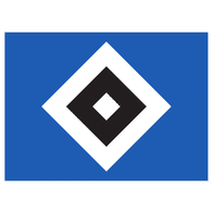HSV icon