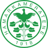 Hamarkameratene icon