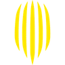 FK Rukh Lviv icon