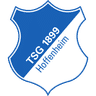 TSG Hoffenheim icon
