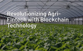 Revolutionizing Agri-Fintech with Blockchain Technology