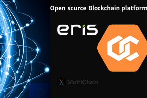 Open source Blockchain platforms