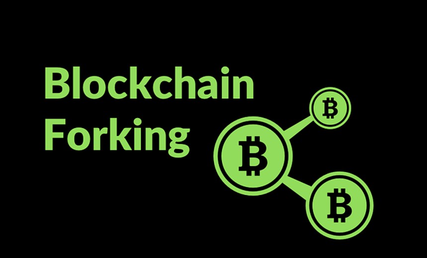 What is meant by forking in a Blockchain?