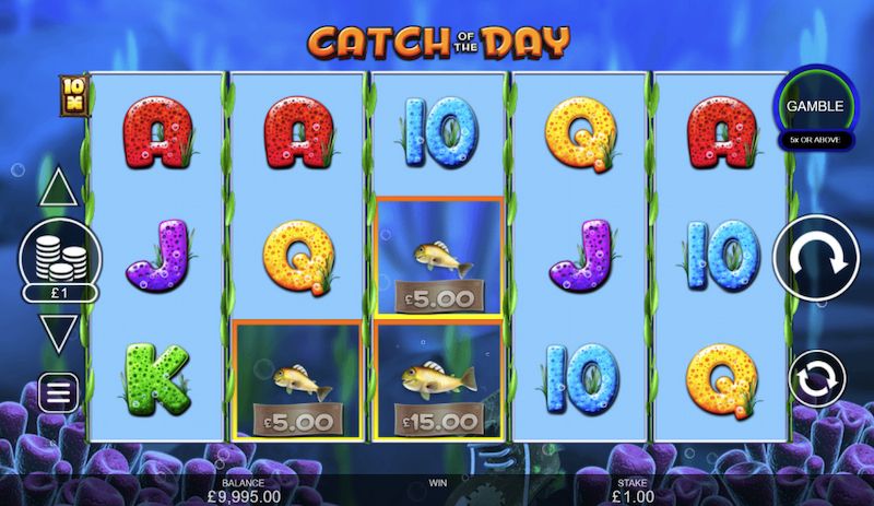 catch of the day slot game MrQ online casino fishing slot game demo free spins