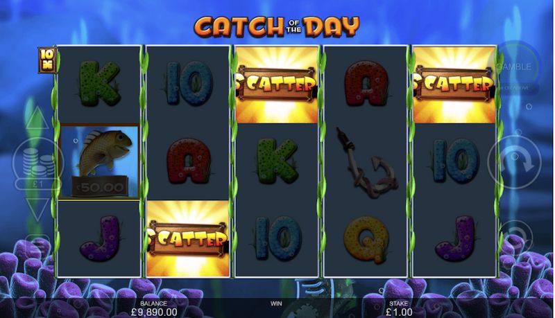 catch of the day slot game MrQ online casino fishing slot game demo free spins scatter