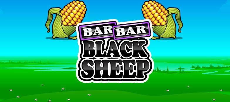 hp-bar-bar-black-sheep.jpg