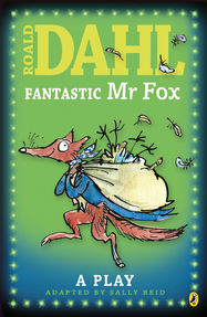 Fantastic Mr Fox - Jacket