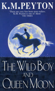 The Wild Boy And Queen Moon - Jacket