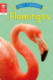 Reading Gems Fact Finders: Flamingos (Level 1) - Jacket