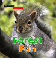 Let's Read: Forest Fun - Jacket