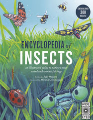 Encyclopedia of Insects - Jacket