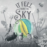 It Fell From The Sky - Jacket