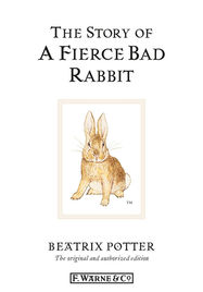 The Story of A Fierce Bad Rabbit - Jacket