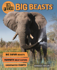 In Focus: Big Beasts - Jacket