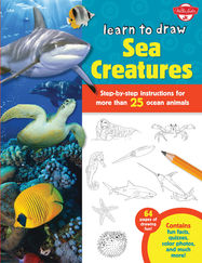 Learn to Draw Sea Creatures - Jacket