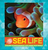 Sea Life - Jacket