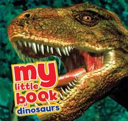 My Little Book of Dinosaurs - Jacket