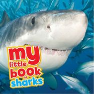 My Little Book of Sharks - Jacket
