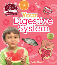 Human Body: Your Digestive System - Jacket