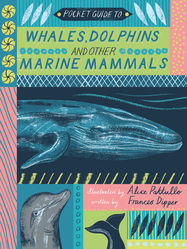 Pocket Guide to Whales, Dolphins and other Marine Mammals - Jacket