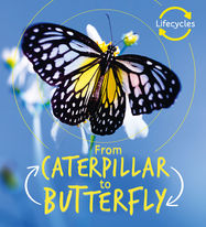 Lifecycles: Caterpillar to Butterfly - Jacket