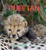 Cheetah - Jacket