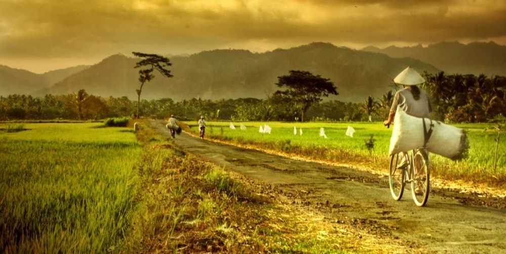 Strategi Pembangunan Desa yang Berhasil menuju desa Mandiri