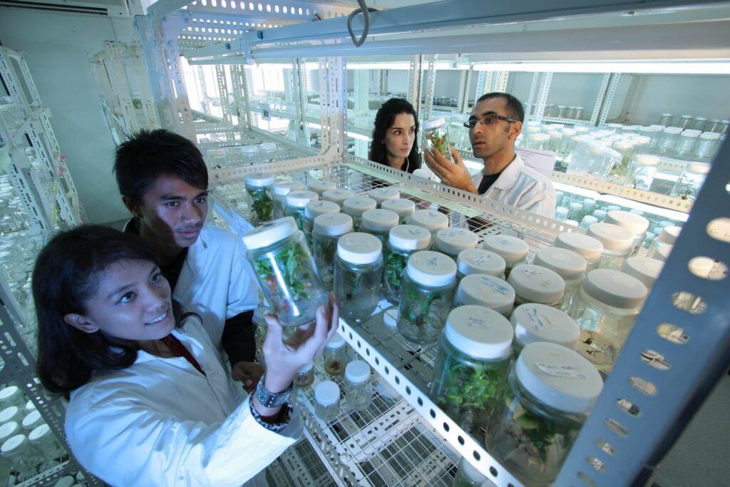 Scientists in the lab
