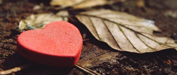 Terms of Endearment in Italian