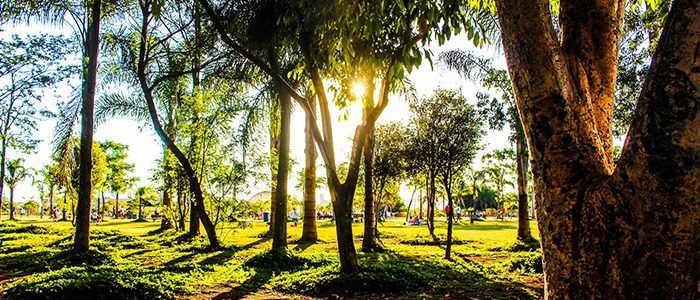 Japanese Particles: an Introduction