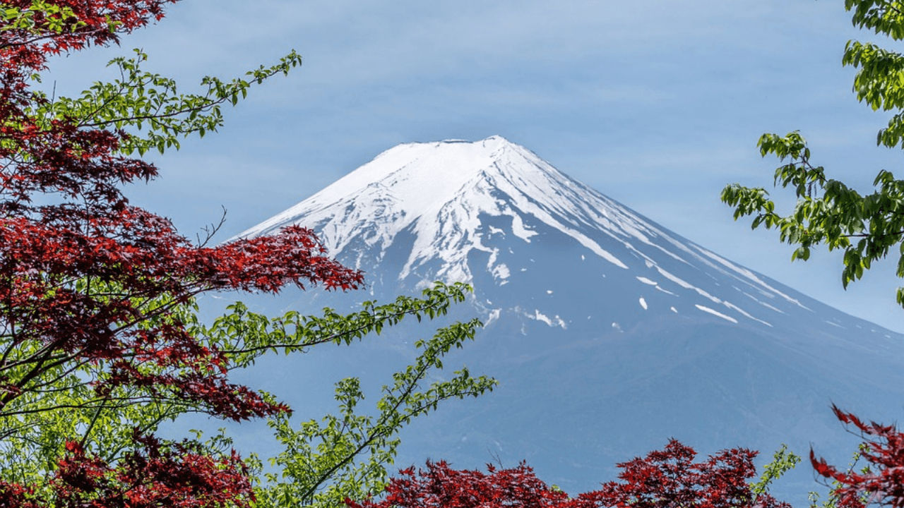 Mt. Fuji