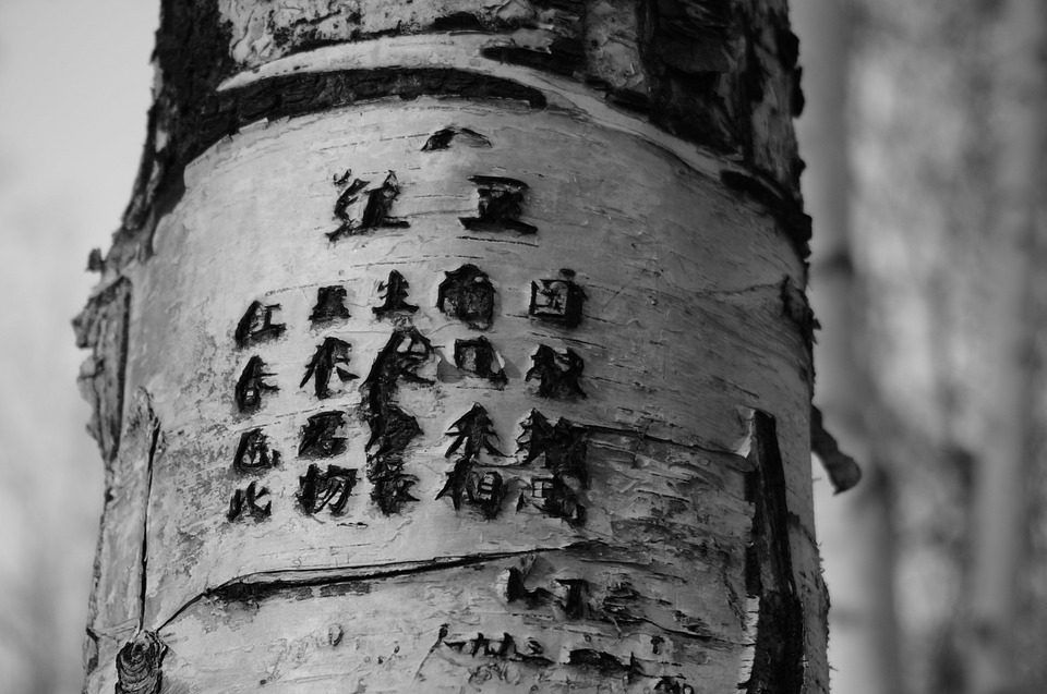 Engraved tree trunk