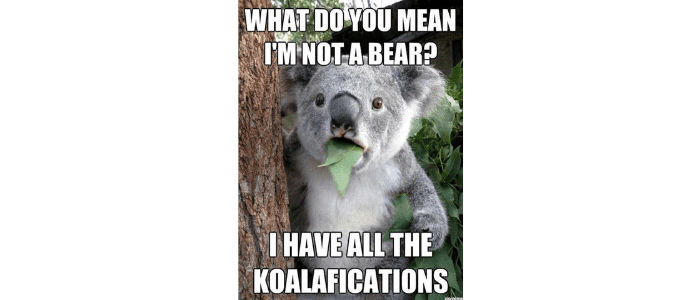 Koala