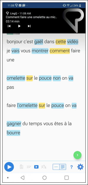 Apprendre Anglais en ligne @ LingQ