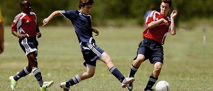 Tipos de verbos em inglês: a lista definitiva
