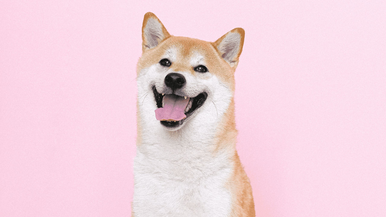 Cute Japanese Words You Ought to Know