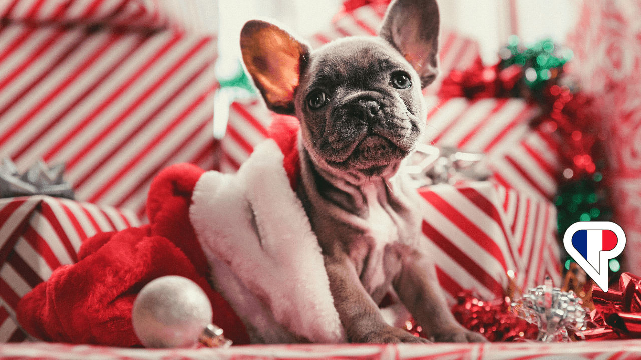 Merry Christmas in French: How To Celebrate Noël à la Française
