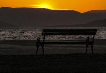 bench