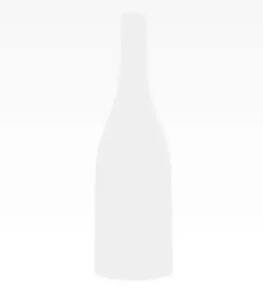 San Felipe Classic Sauvignon Blanc - Liquor Stream