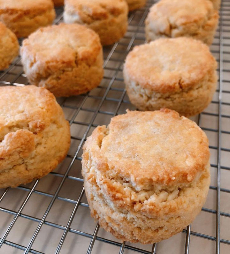 Bakkes By Junn