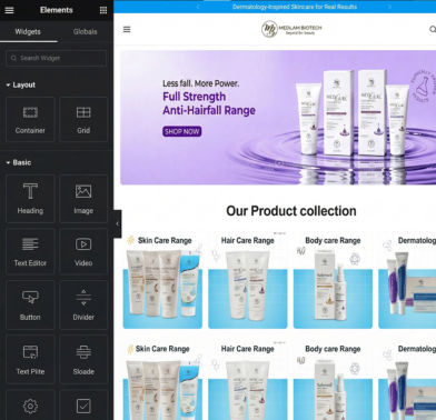 WordPress Development
